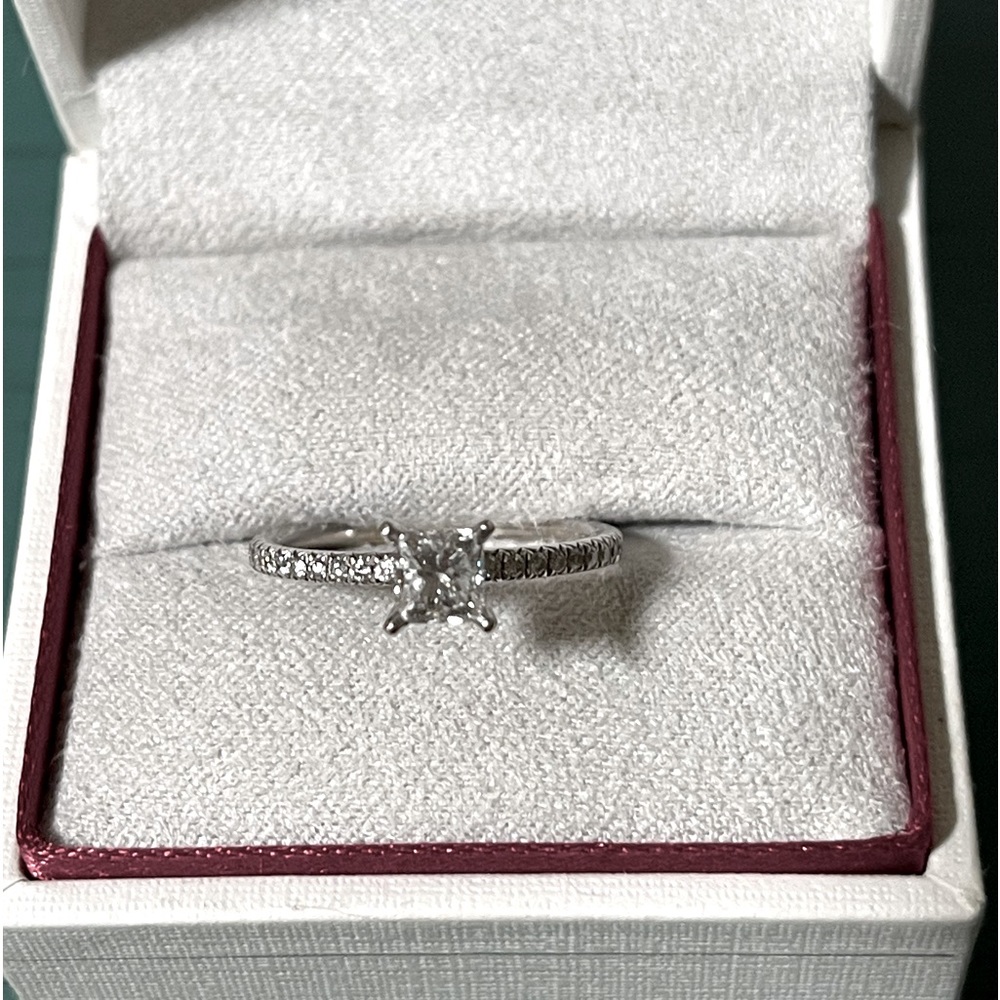 Princess Cut .53 Ct. Engagement Ring